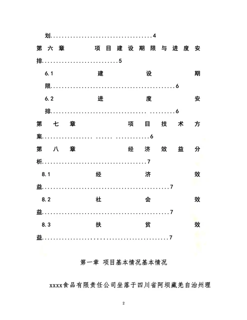 xxx生产流水线技改项目实施方案