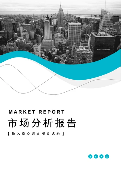 市场数据分析报告