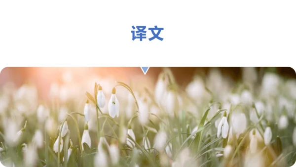 课外古诗词诵读 如梦令（常记溪亭日暮）课件