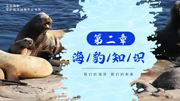 国际海豹日海狮海象通用PPT模板
