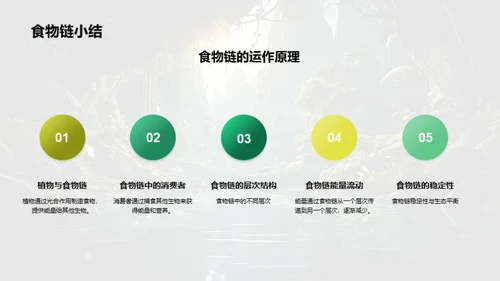 探秘动物世界