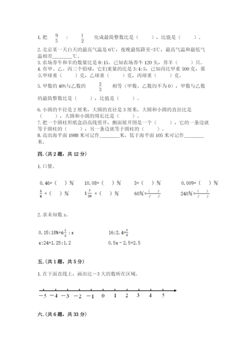 苏教版六年级数学小升初试卷附完整答案【有一套】.docx