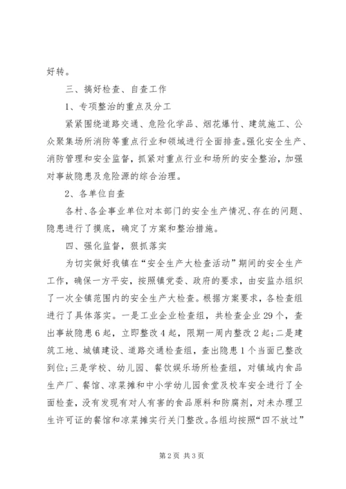 乡镇政府开展安全工作大检查的工作总结.docx