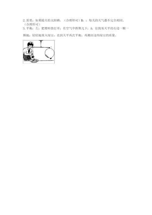 教科版小学三年级上册科学期末测试卷含完整答案【网校专用】.docx