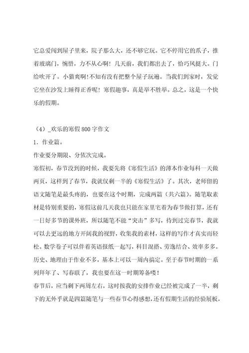 快乐的寒假800字作文集锦15篇作文
