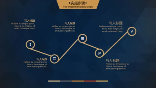 轻奢质感逼格创业计划书通用PPT模版