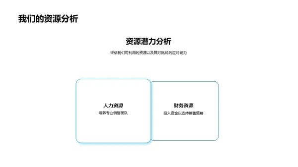 销售挑战与策略