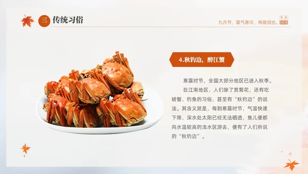 白色淡雅实拍风中国传统节气寒露节气介绍PPT