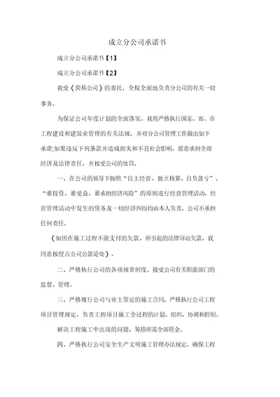 成立分公司承诺书