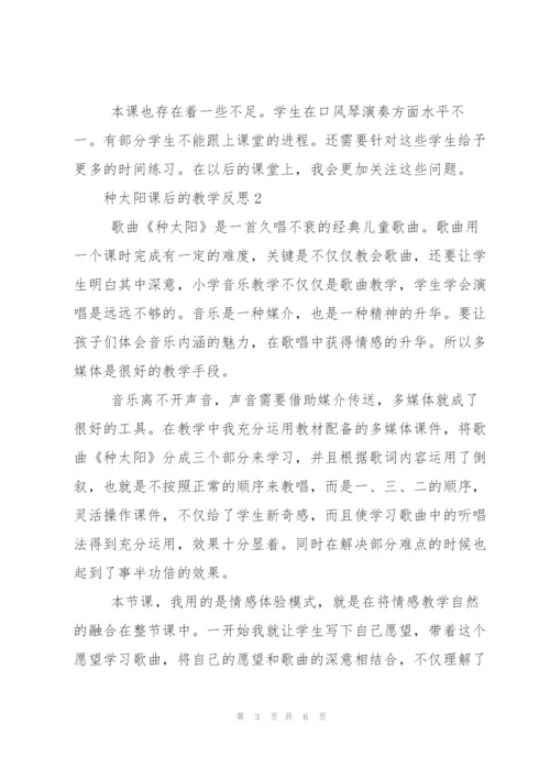 种太阳课后的教学反思范文.docx