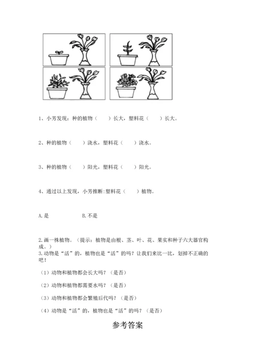 教科版科学一年级上册第一单元《植物》测试卷（突破训练）.docx