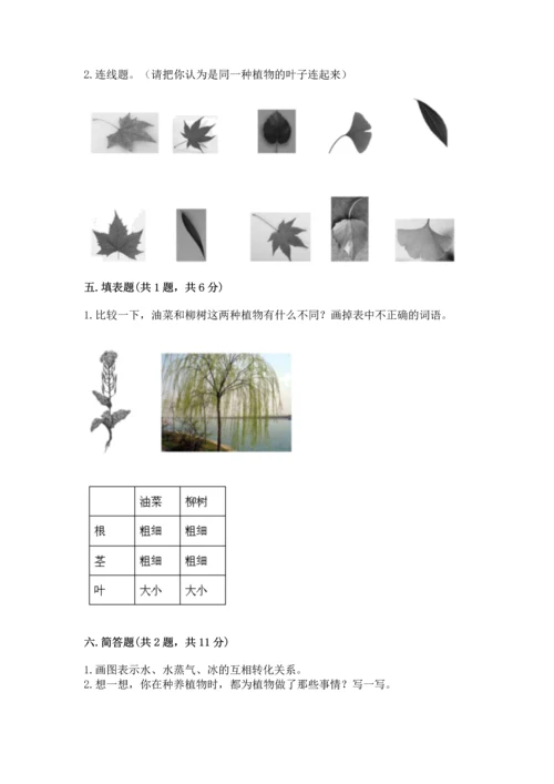 教科版科学一年级上册第一单元《植物》测试卷（突破训练）word版.docx