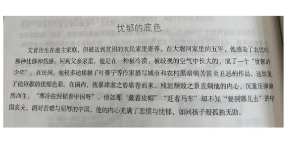 九年级上册 第一单元 名著导读《艾青诗选》课件(共20张PPT)