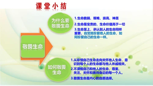 2022-2023学年部编版道德与法治七年级上册8.2 敬畏生命 课件（共27张PPT）