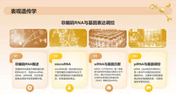 橙色3D风分子生物学PPT模板