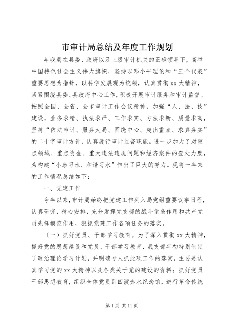 市审计局总结及年度工作规划 (3).docx