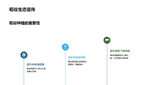 稻田生态的守护者