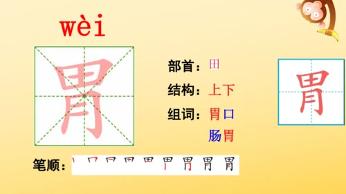 10 在牛肚子里旅行    课件