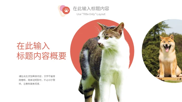 宠物乐园萌宠猫咪主题通用PPT模板