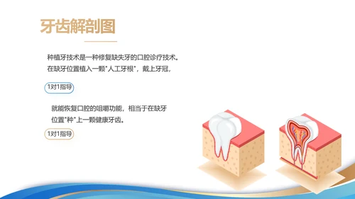 口腔牙科创业融资计划书动态PPT
