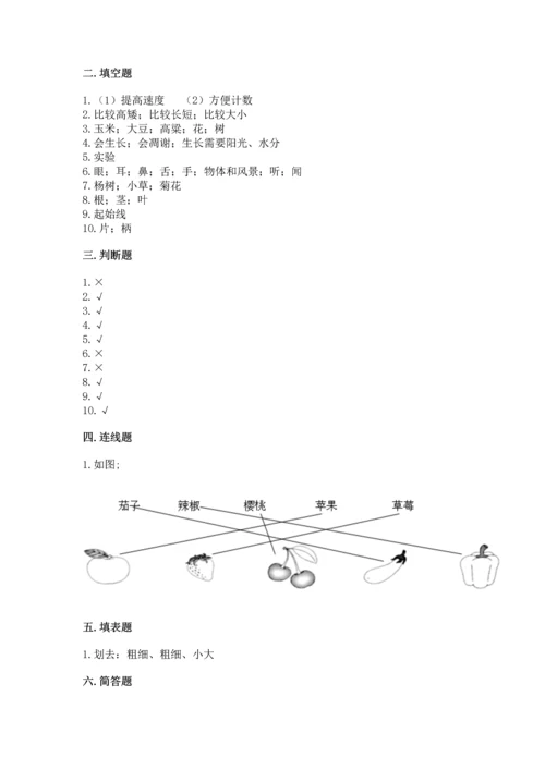 教科版一年级上册科学期末测试卷加答案解析.docx