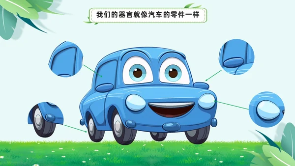 绿色小清新淡雅简约身体器官知多少幼儿园医学科普课件PPT