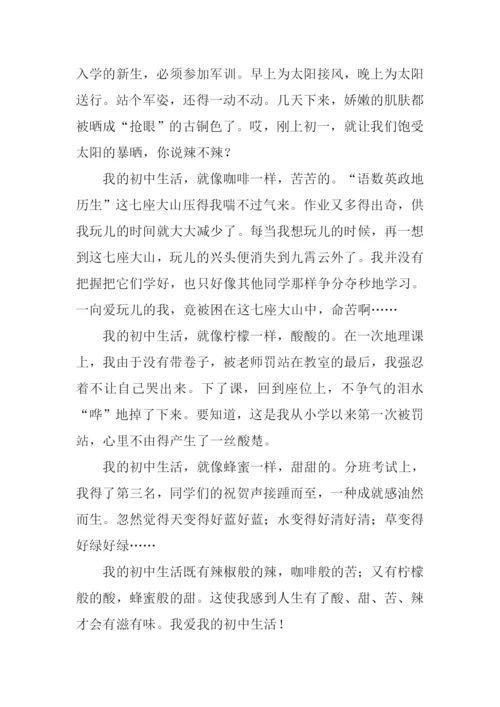 初中生活作文600字.docx