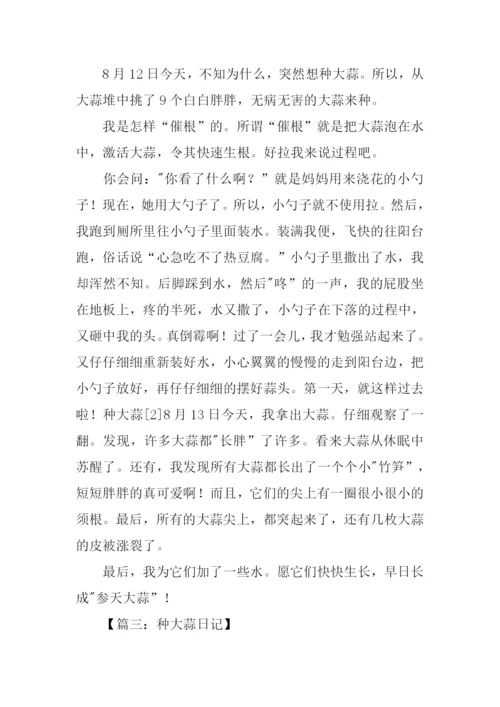 种大蒜观察日记.docx