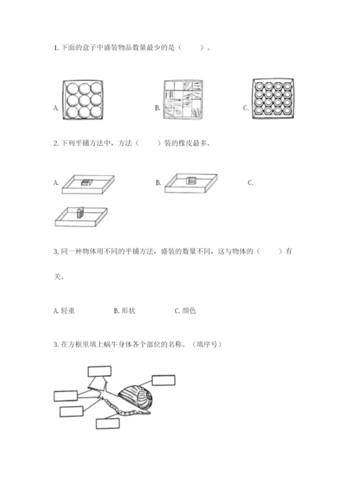 教科版一年级下册科学期末测试卷附参考答案（培优b卷）.docx