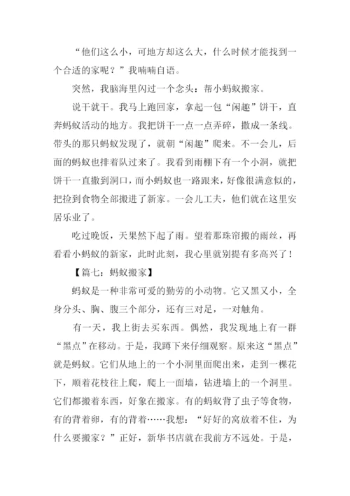 蚂蚁搬家作文.docx