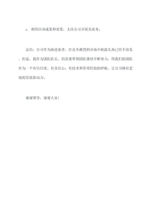 团队队长述职报告