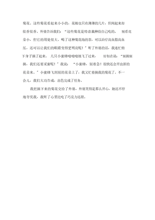 中小学作文描写菊花的作文300字左右