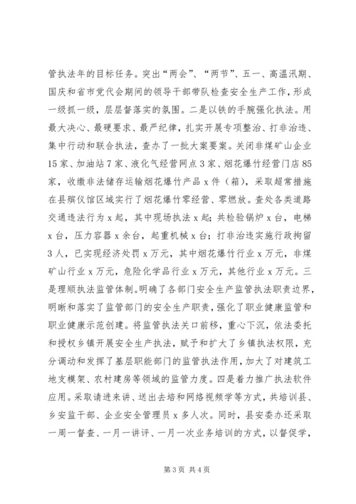 安全生产委员会XX年度安全生产工作自查自评报告 (2).docx