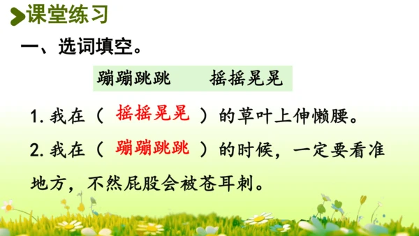 11.我是一只小虫子 课件