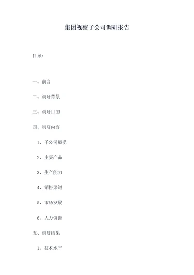 集团视察子公司调研报告