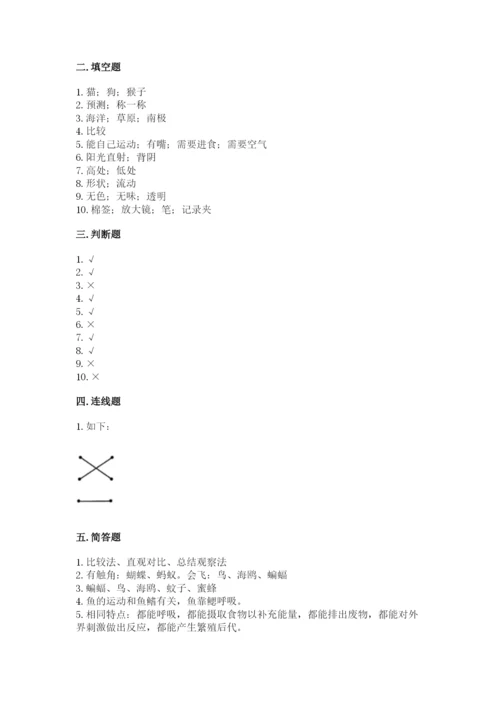 教科版一年级下册科学期末测试卷含答案（巩固）.docx
