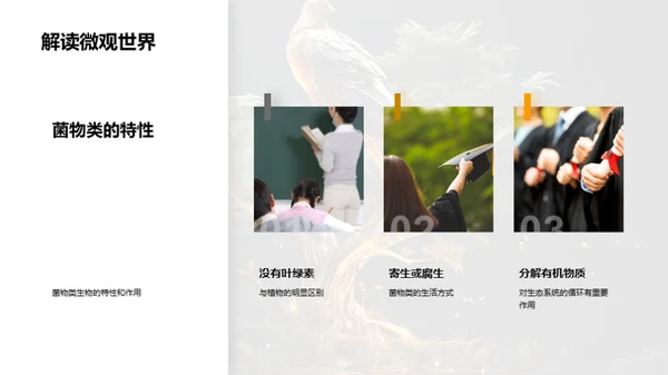 生物世界的演化地图
