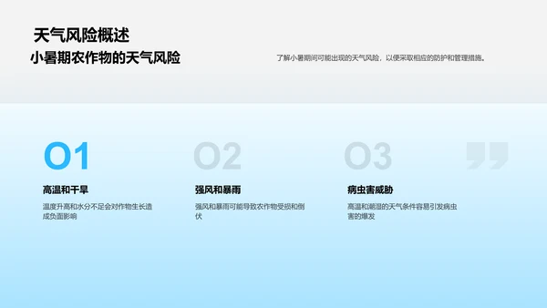 小暑气候农作物指南PPT模板