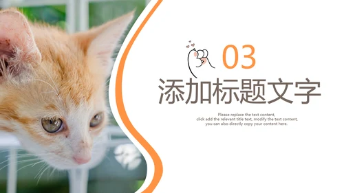 简约风宠物店商业计划书爱宠猫咪PPT模板