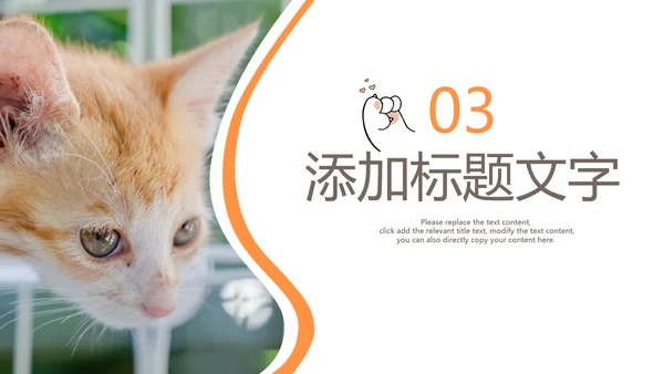 简约风宠物店商业计划书爱宠猫咪PPT模板