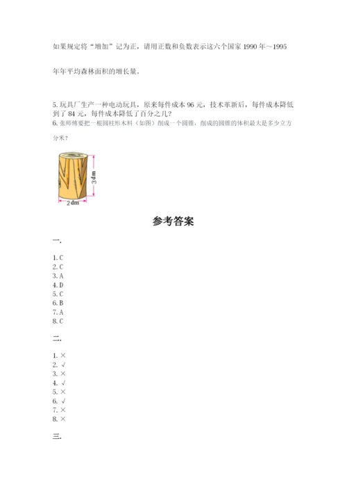小学六年级数学摸底考试题【夺冠系列】.docx