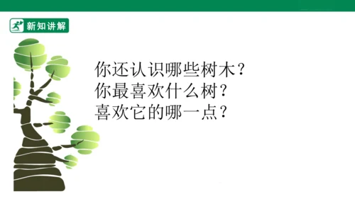 第三课《认识身边的树》课件