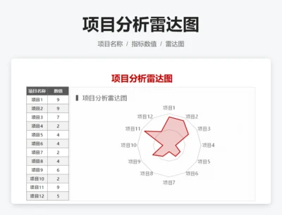 项目分析雷达图