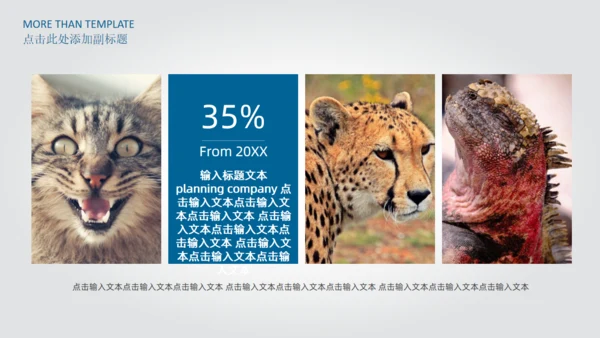 生物科技产品介绍分析报告通用PPT