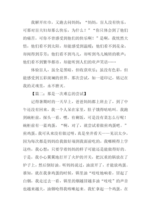 一次难忘的尝试作文600字.docx