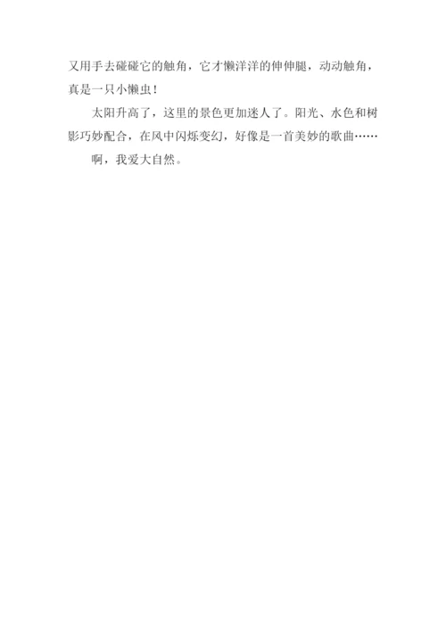 我爱大自然作文300字.docx