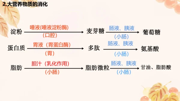 人教版（新课标）七下生物第四单元第一至三章复习课件(共34张PPT)