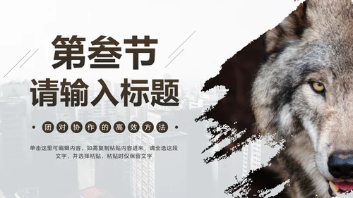 企业培训团队凝聚力PPT模板