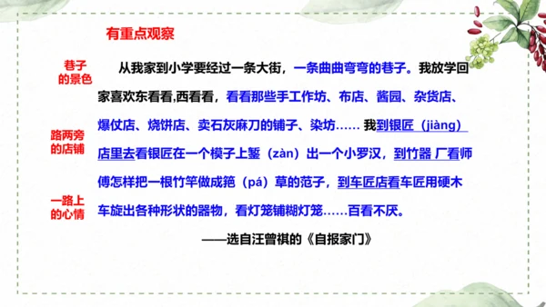 5 《铺满巴掌的水泥道》仿写指导课件