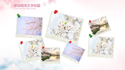 唯美浪漫十里桃花开樱花节樱花季桃花ppt